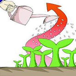 午评:创业板指高开高走涨超2% CPO概念持续走强